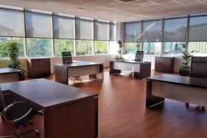 3L INTERNACIONAL, S.A.