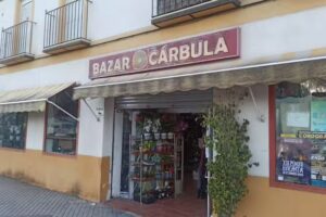 BAZAR CÁRBULA