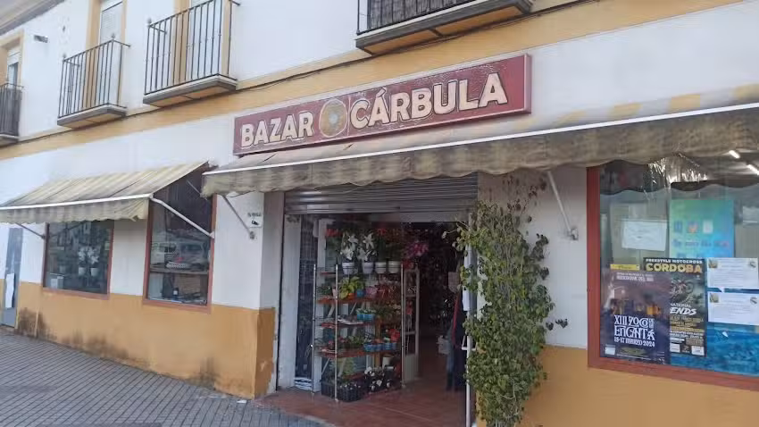 BAZAR C&Aacute;RBULA