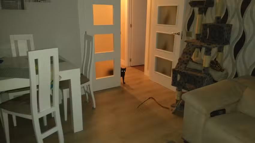 BEAR medias y complementos