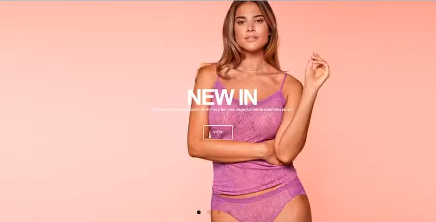 Bigarte Moda &Iacute;ntima