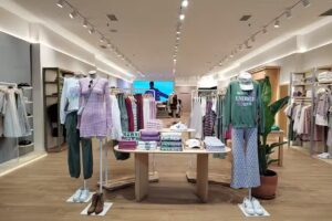 Brownie &ndash; Puerto Venecia