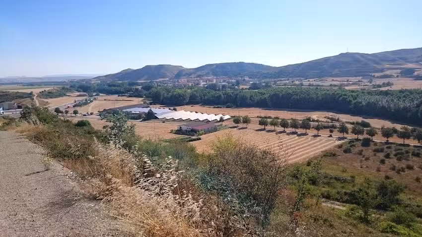 Bursales Trading Group S.L.