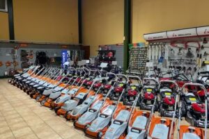 Cajal. Bosque y Jard&iacute;n &ndash; Sabi&ntilde;&aacute;nigo (Huesca)