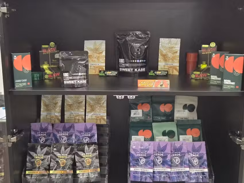 CALIFORNIA DREAMS BENIDORM