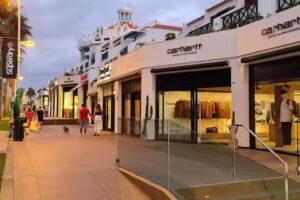 Carhartt Work in Progress