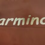 Carmina Modas