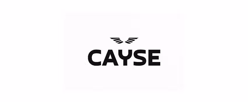 CayseShop