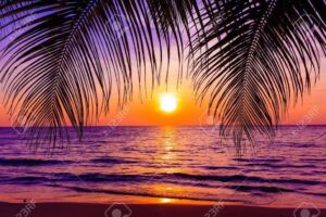 Crear y coser oficial