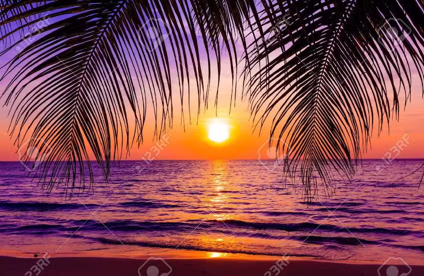 Crear y coser oficial