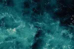 CR&Oslash;SS THE.LINE