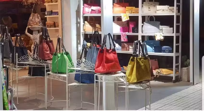 Davinci Leather Bags &Bijuteria