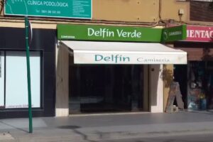 Delf&iacute;n Verde Camiseria