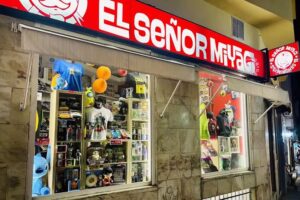 EL SE&Ntilde;OR MIYAGI TENERIFE &ndash; TIENDA FRIKI