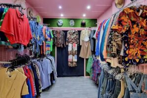 Flamingos Vintage Sur