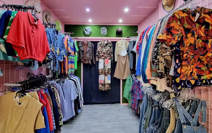 Flamingos Vintage Sur