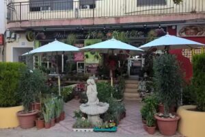 Floristería El Elegante