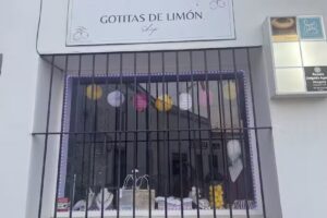 Gotitas de lim&oacute;n