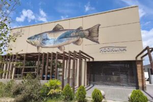 Hookuna Fly Shop