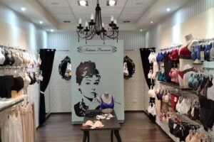 Intima Promesa, lencer&iacute;a, ropa interior y de ba&ntilde;o