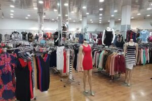 Jasmine De Lanzarote S.l