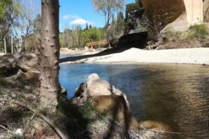 kukuguay animaci&oacute;n infantil alca&ntilde;iz