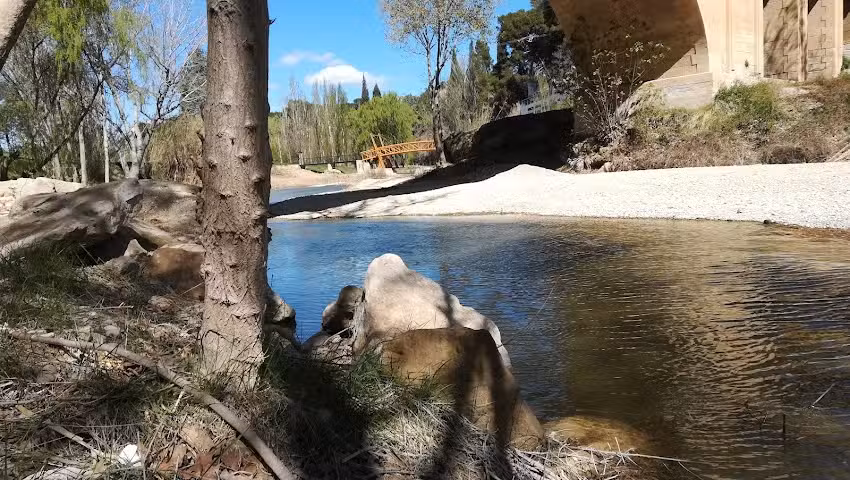 kukuguay animaci&oacute;n infantil alca&ntilde;iz