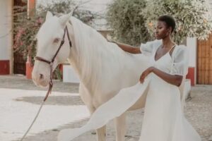 Luc&iacute;a Sol&iacute;s Brand