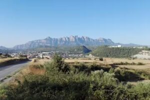 MASTER LINE & CORDS SL