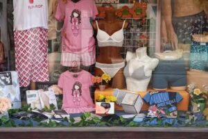 MERCERIA LENCERIA LA OCASION