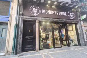 Monkeys Tribe