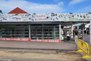 Olivina Bananas Outlet