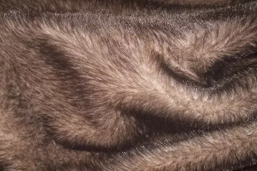 Peleter&iacute;a Hema