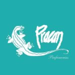 Perfumer&iacute;a Pracan
