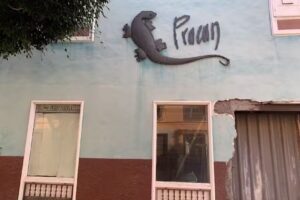 Perfumer&iacute;a Pracan