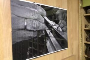 Pl&aacute;cido de la Rosa