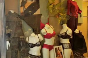 Prim Lencer&iacute;a