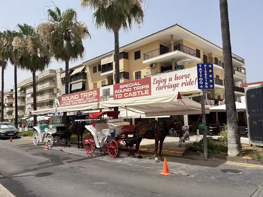 Promociones J P Mar S L