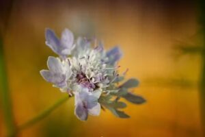 Raso y Tac&oacute;n | Tienda de ropa de mujer | Barcelona