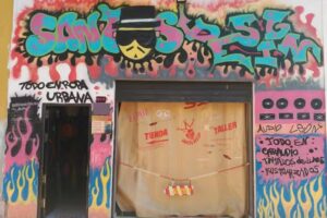 Rinc&oacute;n de Virginia