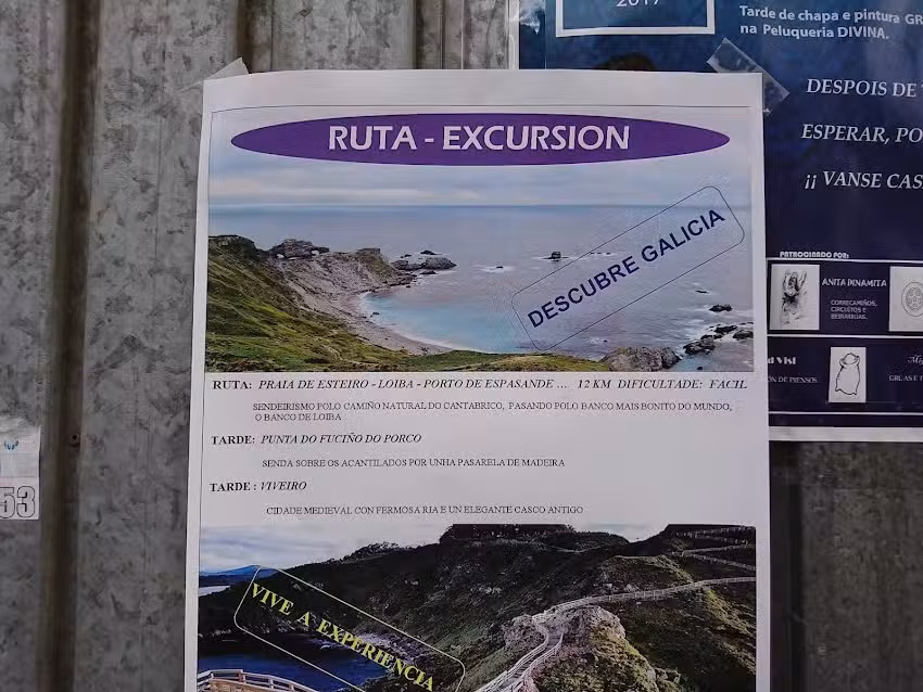 Rogilsam Sarri&aacute; S L L