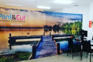 R&oacute;tulos y camisetas print and cut