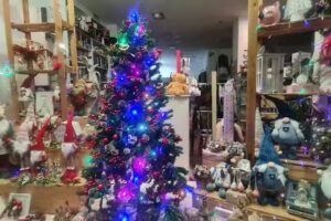 Shaila Cosmeticos y Complementos