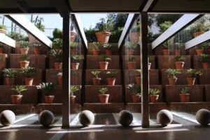 To&ntilde;i y Ram&oacute;n