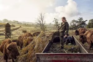 Vestim &ndash; antes Especialteam