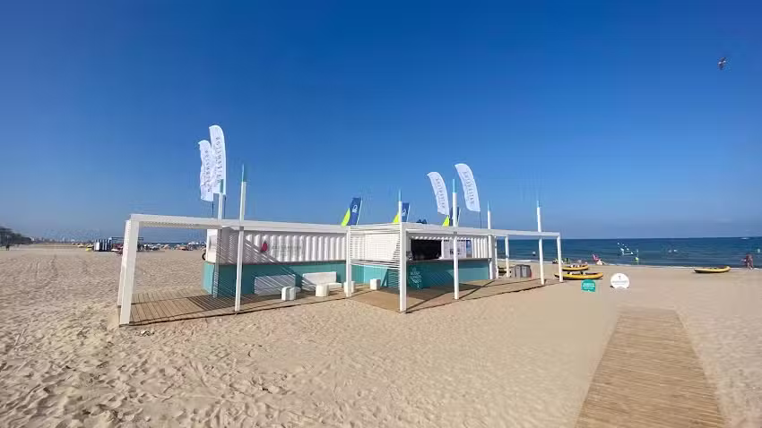 Watermelon Experiences