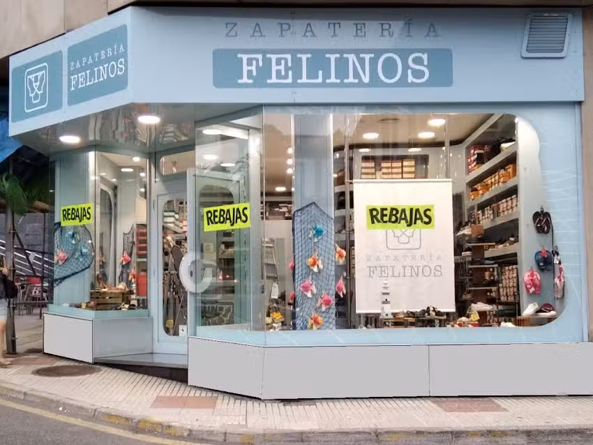 Zapater&iacute;a Felinos